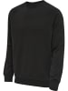 Hummel Sweatshirt Raglanärmel Hmlred Herren in BLACK