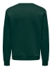 Only&Sons Sweatshirt 'Ceres' in grün