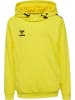 Hummel Hoodie Hmlauthentic Pl Hoodie Kids in BLAZING YELLOW