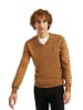 Polo Club Pullover in Brauner Zucker