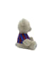 FC Barcelona Plüschbär 35cm Kuscheltier mit T-Shirt
