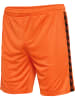 Hummel Hummel Kurze Hose Wer 23/24 Fußball Unisex Erwachsene Feuchtigkeitsabsorbierenden in ORANGE TIGER