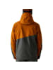 Dare 2b Skijacke in Orange