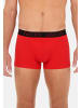 HOM Retro Short / Pant Boxerlines HO1 in Red / Black