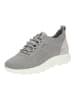 Geox Sneaker in Grau