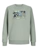 JACK & JONES Junior Sweatshirt 'Luke' in grün