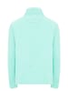 Stormcloud Herren Fleecepullover in Türkis