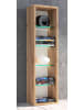 VCM  Holz CD DVD Stand Aufbewahrung Deko Regal Rasato L in Honig-Eiche
