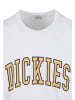 Dickies Dickies T-Shirts in white