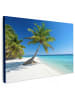 MuchoWow Leinwand Bilder Palme