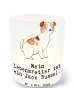 Mr. & Mrs. Panda Windlicht aus Glas Jack Russel Terrier Lebensre... in Transparent