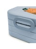 Mr. & Mrs. Panda Lunchbox Bär Prüfung Motiv mit Spruch in Blau Pastell