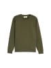 Tom Tailor Sweatshirt in dunkelgrün