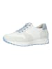 Paul Green Sneaker in Weiß/Blau