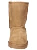ara Stiefelette in Cognac