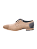 LLOYD Elegante Schnürschuhe in Beige