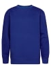 Petrol Industries Unifarbener Sweater StonyRiver in Blau