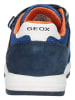 Geox Sneaker in Navy/Orange