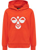 Hummel Hummel Kapuzenpullover Hmlcuatro Kinder Atmungsaktiv in CHERRY TOMATO