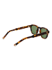 Hally & Son Männer Sonnenbrille Panto Havanna
