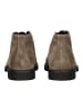 Nero Giardini Stiefelette in Fango