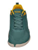 KOEL Sneaker Low NICA in grün