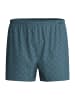 Calida Boxershorts in blue print