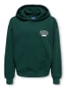 ONLY & SONS Junior Kapuzenpullover in Pine Grove