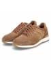Bullboxer Low Sneaker in braun