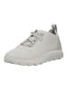 Geox Sneaker Hellgrau