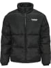 Hummel Hummel Reißverschluss Jacke Hmllgc Nicky Herren in BLACK