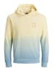 Jack & Jones Hoodie für Herren in Bunt