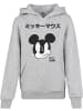 Mister Tee Hoodie in Grau