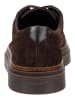 GANT Footwear Sneaker in Dunkelbraun