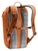 Deuter Rucksack / Backpack Stepout 16 in Chestnut/Ivy