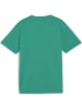 Puma T-Shirt "TeamGoal Jersey Jr" in Grün