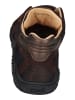 KOEL Stiefeletten ROXY SUEDE in braun