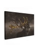 MuchoWow Leinwand bilder Hirsch (BxH)