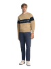 Polo Club Sweatshirt in Braun