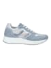 Nero Giardini Sneaker in Blau