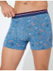 KOTON Boxer in Marineblau