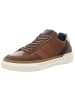 Bullboxer Sneaker Low in braun
