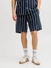 Jack & Jones Shorts in Sky Captain