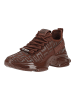 Steve Madden Sneaker MAXOUT Dunkelbraun
