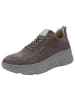 Marc Shoes Schnürhalbschuh Zoe 11 in grau