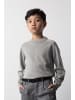 Coccodrillo Strickpullover in grau