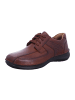 Josef Seibel Schnürschuh in braun