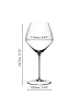 Riedel (Gläser) 2 er-Set Veloce Pinot Noir Gläser in Transparent