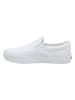 Vans Vans Turnschuhe in true white