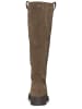 Steve Madden Stiefel ZOLA Taupe